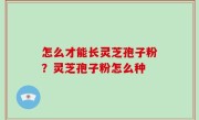 怎么才能长灵芝孢子粉？灵芝孢子粉怎么种
