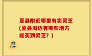 夏县附近哪里有卖灵芝(夏县周边有哪些地方能买到灵芝？)