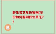 野生灵芝年份鉴别(年份如何鉴别野生灵芝？)