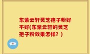东紫云轩灵芝孢子粉好不好(东紫云轩的灵芝孢子粉效果怎样？)