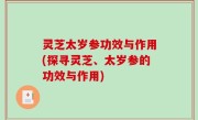 灵芝太岁参功效与作用(探寻灵芝、太岁参的功效与作用)