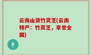 云南山货竹灵芝(云南特产：竹灵芝，享誉全国)