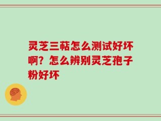 灵芝三萜怎么测试好坏啊？怎么辨别灵芝孢子粉好坏