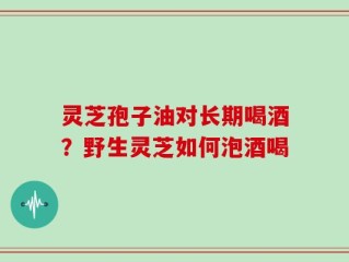 灵芝孢子油对长期喝酒？野生灵芝如何泡酒喝