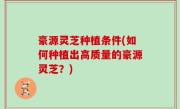 豪源灵芝种植条件(如何种植出高质量的豪源灵芝？)