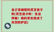自己家破壁的灵芝孢子粉(灵芝孢子粉：生活神器！我的家也变成了天然防护区)