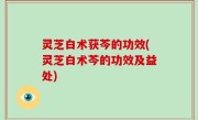 灵芝白术获芩的功效(灵芝白术芩的功效及益处)