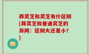 莽灵芝和灵芝有什区别(莽灵芝和普通灵芝的异同：区别大还是小？)