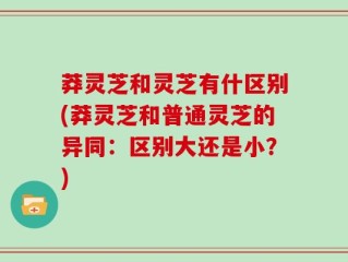 莽灵芝和灵芝有什区别(莽灵芝和普通灵芝的异同：区别大还是小？)