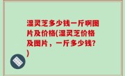 湿灵芝多少钱一斤啊图片及价格(湿灵芝价格及图片，一斤多少钱？)