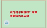 灵芝孢子粉怪味？家里有霉味怎么去除