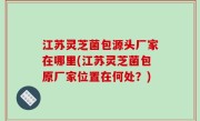 江苏灵芝菌包源头厂家在哪里(江苏灵芝菌包原厂家位置在何处？)