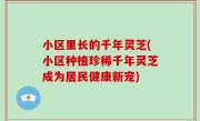 小区里长的千年灵芝(小区种植珍稀千年灵芝成为居民健康新宠)