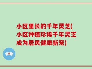 小区里长的千年灵芝(小区种植珍稀千年灵芝成为居民健康新宠)