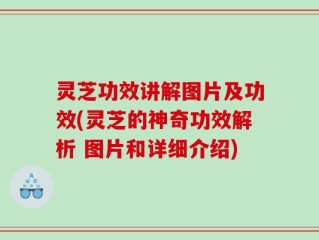 灵芝功效讲解图片及功效(灵芝的神奇功效解析 图片和详细介绍)
