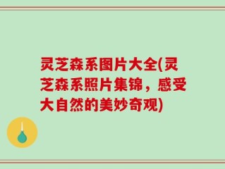 灵芝森系图片大全(灵芝森系照片集锦，感受大自然的美妙奇观)