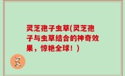 灵芝孢子虫草(灵芝孢子与虫草结合的神奇效果，惊艳全球！)