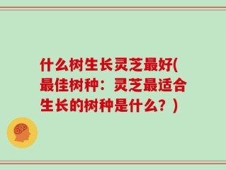 什么树生长灵芝最好(最佳树种：灵芝最适合生长的树种是什么？)