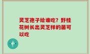 灵芝孢子给谁吃？野桂花树长出灵芝样的菌可以吃