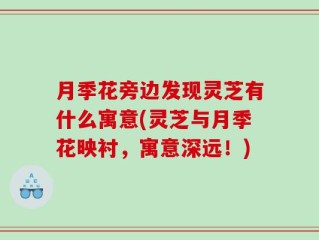 月季花旁边发现灵芝有什么寓意(灵芝与月季花映衬，寓意深远！)