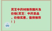 灵芝中药材推荐图片及价格(灵芝：中药圣品，价格实惠，值得推荐！)