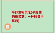 半野生粉灵芝(半野生的粉灵芝：一种珍贵中草药)