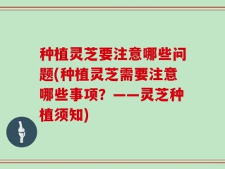 种植灵芝要注意哪些问题(种植灵芝需要注意哪些事项？——灵芝种植须知)