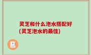 灵芝和什么泡水搭配好(灵芝泡水的最佳)