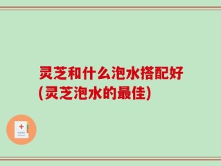 灵芝和什么泡水搭配好(灵芝泡水的最佳)