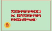 灵芝孢子粉和桦树茸功效？探究灵芝孢子粉和桦树茸的营养价值？