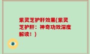 紫灵芝护肝效果(紫灵芝护肝：神奇功效深度解读！)