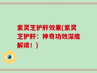 紫灵芝护肝效果(紫灵芝护肝：神奇功效深度解读！)