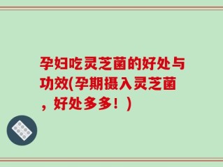 孕妇吃灵芝菌的好处与功效(孕期摄入灵芝菌，好处多多！)