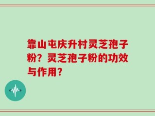 靠山屯庆升村灵芝孢子粉？灵芝孢子粉的功效与作用？
