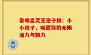 常明昌灵芝孢子粉：小小孢子，唤醒你的无限活力与魅力