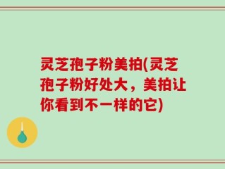 灵芝孢子粉美拍(灵芝孢子粉好处大，美拍让你看到不一样的它)