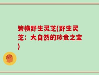 箬横野生灵芝(野生灵芝：大自然的珍贵之宝)