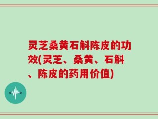灵芝桑黄石斛陈皮的功效(灵芝、桑黄、石斛、陈皮的药用价值)