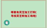 哪里有灵芝加工打粉(寻找灵芝粉加工场地)