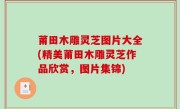 莆田木雕灵芝图片大全(精美莆田木雕灵芝作品欣赏，图片集锦)