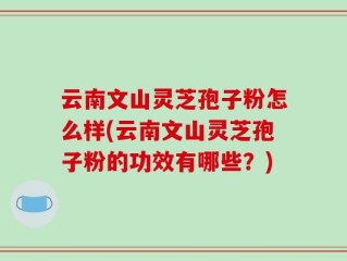 云南文山灵芝孢子粉怎么样(云南文山灵芝孢子粉的功效有哪些？)