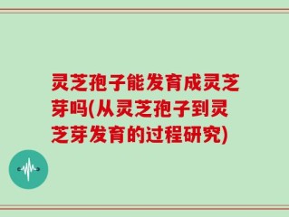 灵芝孢子能发育成灵芝芽吗(从灵芝孢子到灵芝芽发育的过程研究)