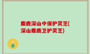 麋鹿深山中保护灵芝(深山麋鹿卫护灵芝)