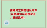 西藏灵芝到昆明私家车(从西藏驾车带回灵芝，重返昆明)