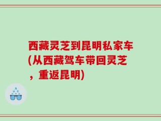 西藏灵芝到昆明私家车(从西藏驾车带回灵芝，重返昆明)