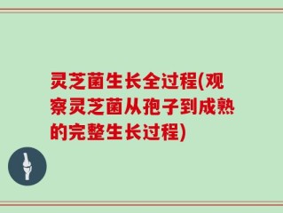 灵芝菌生长全过程(观察灵芝菌从孢子到成熟的完整生长过程)