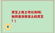 灵芝上有土可以洗吗(如何清洗带泥土的灵芝？)