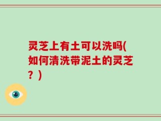 灵芝上有土可以洗吗(如何清洗带泥土的灵芝？)