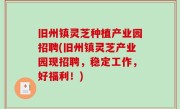 旧州镇灵芝种植产业园招聘(旧州镇灵芝产业园现招聘，稳定工作，好福利！)