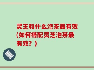 灵芝和什么泡茶最有效(如何搭配灵芝泡茶最有效？)